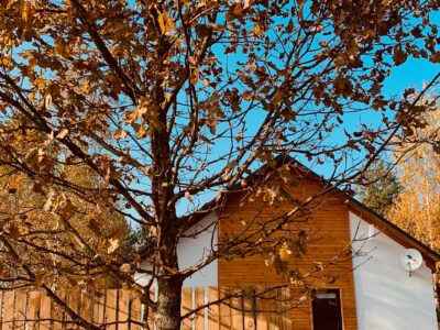 Барнхаус Кулики