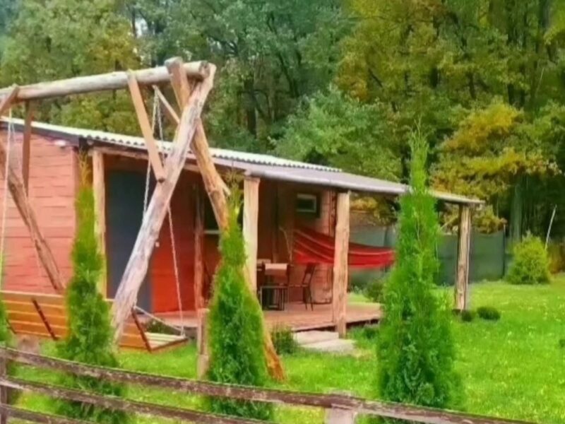 Домик в Беловежской пуще "Forest House"