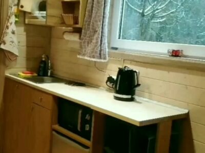 Домик в Беловежской пуще "Forest House"