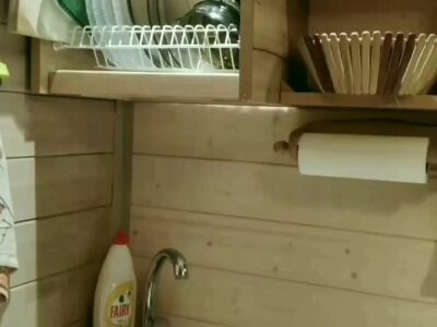 Домик в Беловежской пуще "Forest House"