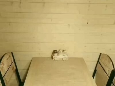 Домик в Беловежской пуще "Forest House"