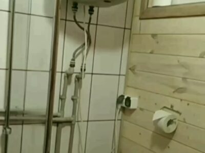 Домик в Беловежской пуще "Forest House"