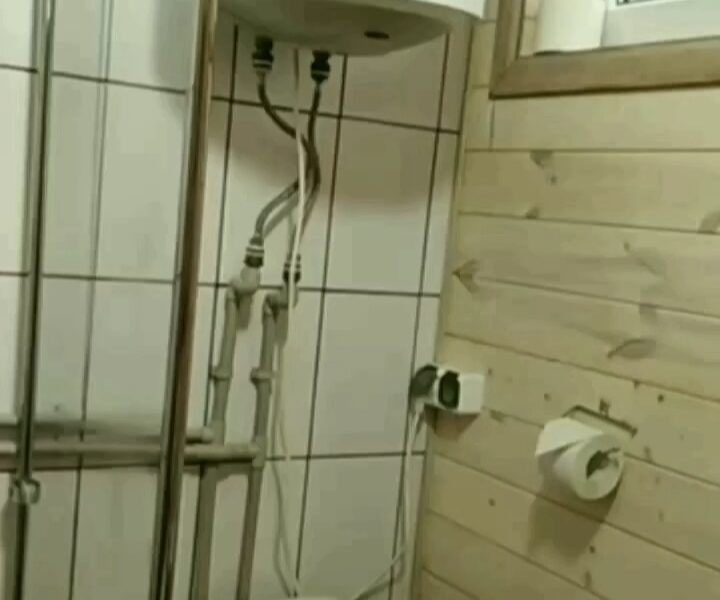 Домик в Беловежской пуще "Forest House"