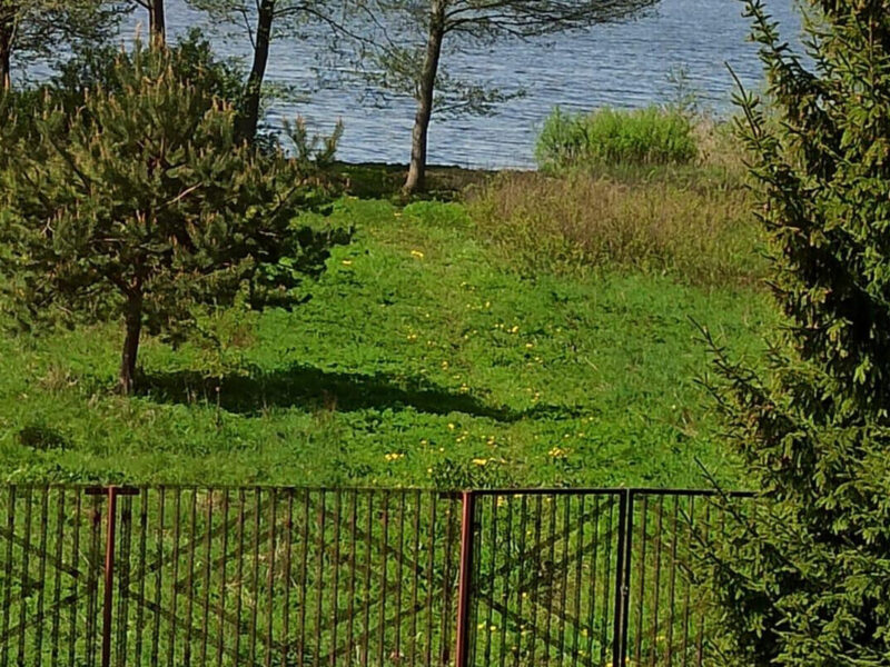 Усадьба "Райский хуторок" на берегу озера.