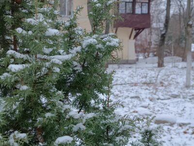 Осмоловка - солнечные дома Минска