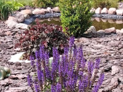 Агроусадьба Домик в Заполье — уютный отдых на природе